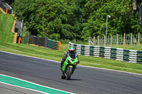 Lower Group Green Bikes